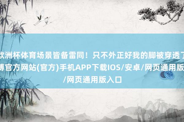 欧洲杯体育场景皆备雷同！只不外正好我的脚被穿透了-世博官方网站(官方)手机APP下载IOS/安卓/网页通用版入口