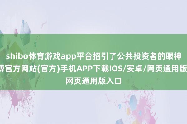 shibo体育游戏app平台招引了公共投资者的眼神-世博官方网站(官方)手机APP下载IOS/安卓/网页通用版入口