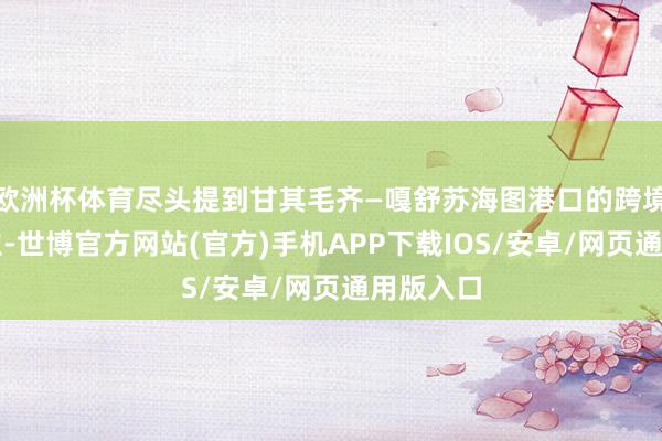 欧洲杯体育尽头提到甘其毛齐—嘎舒苏海图港口的跨境铁路竖立-世博官方网站(官方)手机APP下载IOS/安卓/网页通用版入口