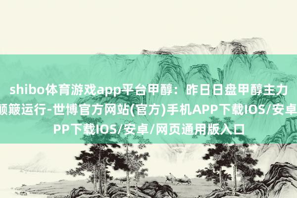 shibo体育游戏app平台甲醇：昨日日盘甲醇主力合约缩量减仓、颠簸运行-世博官方网站(官方)手机APP下载IOS/安卓/网页通用版入口