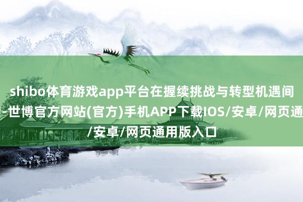shibo体育游戏app平台在握续挑战与转型机遇间寻求均衡-世博官方网站(官方)手机APP下载IOS/安卓/网页通用版入口