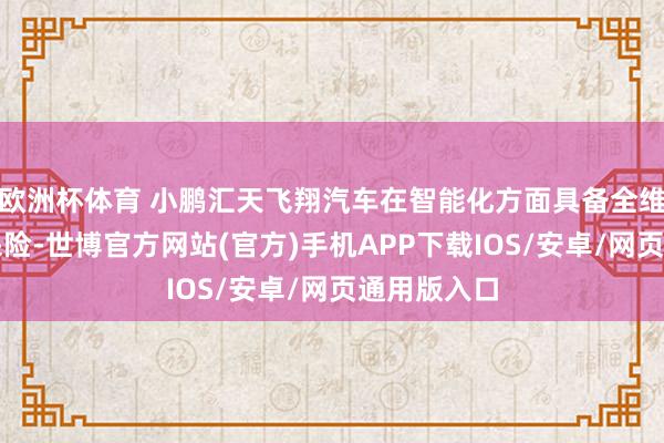 欧洲杯体育 小鹏汇天飞翔汽车在智能化方面具备全维安全冗余保险-世博官方网站(官方)手机APP下载IOS/安卓/网页通用版入口