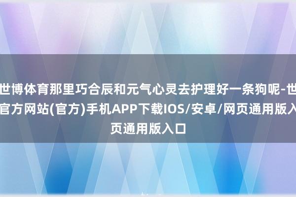 世博体育那里巧合辰和元气心灵去护理好一条狗呢-世博官方网站(官方)手机APP下载IOS/安卓/网页通用版入口