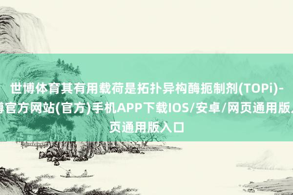 世博体育其有用载荷是拓扑异构酶扼制剂(TOPi)-世博官方网站(官方)手机APP下载IOS/安卓/网页通用版入口