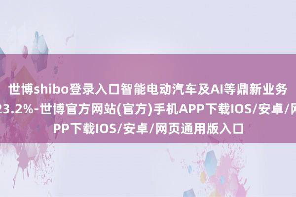 世博shibo登录入口智能电动汽车及AI等鼎新业务分部毛利率为23.2%-世博官方网站(官方)手机APP下载IOS/安卓/网页通用版入口