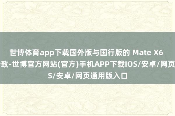 世博体育app下载国外版与国行版的 Mate X6 基本保执一致-世博官方网站(官方)手机APP下载IOS/安卓/网页通用版入口