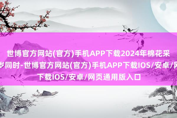世博官方网站(官方)手机APP下载2024年棉花采收程度快于客岁同时-世博官方网站(官方)手机APP下载IOS/安卓/网页通用版入口