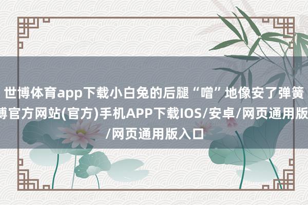 世博体育app下载小白兔的后腿“噌”地像安了弹簧-世博官方网站(官方)手机APP下载IOS/安卓/网页通用版入口
