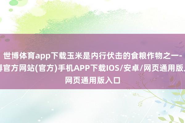 世博体育app下载玉米是内行伏击的食粮作物之一-世博官方网站(官方)手机APP下载IOS/安卓/网页通用版入口