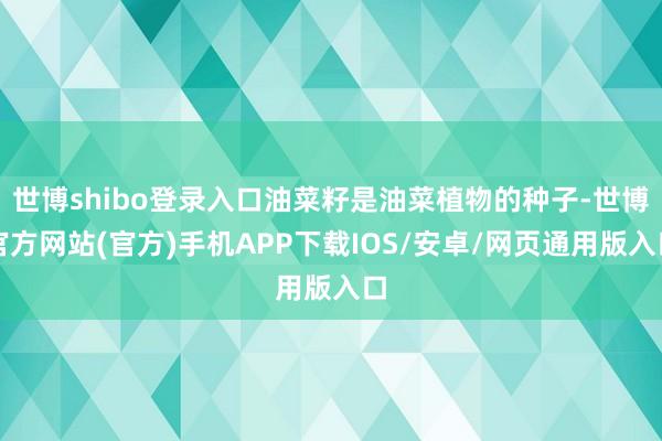 世博shibo登录入口油菜籽是油菜植物的种子-世博官方网站(官方)手机APP下载IOS/安卓/网页通用版入口