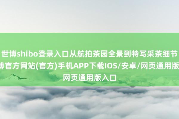 世博shibo登录入口从航拍茶园全景到特写采茶细节-世博官方网站(官方)手机APP下载IOS/安卓/网页通用版入口