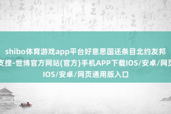 shibo体育游戏app平台好意思国还条目北约友邦提供不异的支捏-世博官方网站(官方)手机APP下载IOS/安卓/网页通用版入口