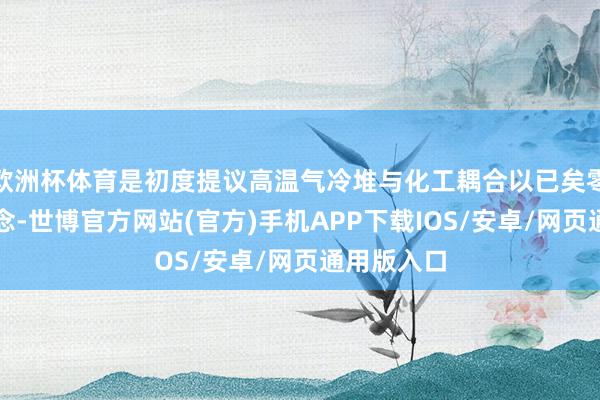 欧洲杯体育是初度提议高温气冷堆与化工耦合以已矣零碳发展理念-世博官方网站(官方)手机APP下载IOS/安卓/网页通用版入口